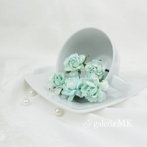 ROSES COTTAGE – 30 mm - AQUA  a.JPG