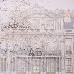 papier-do-scrapbookingu-the-verisalles-arkusz-3-30x30 (2).jpg