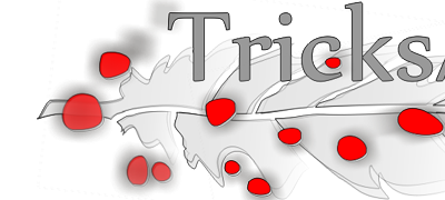 Producent: TrickArt (przejdź do produktów)